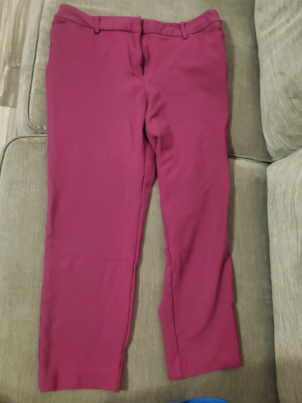 WOMEND Magenta Pants